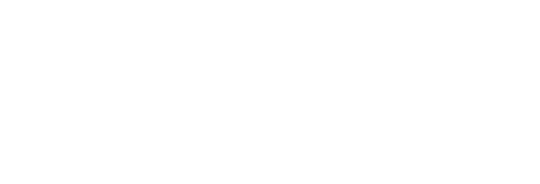Asturfly